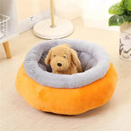 CAMA PAW