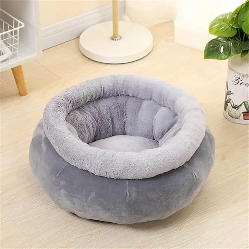 CAMA PAW