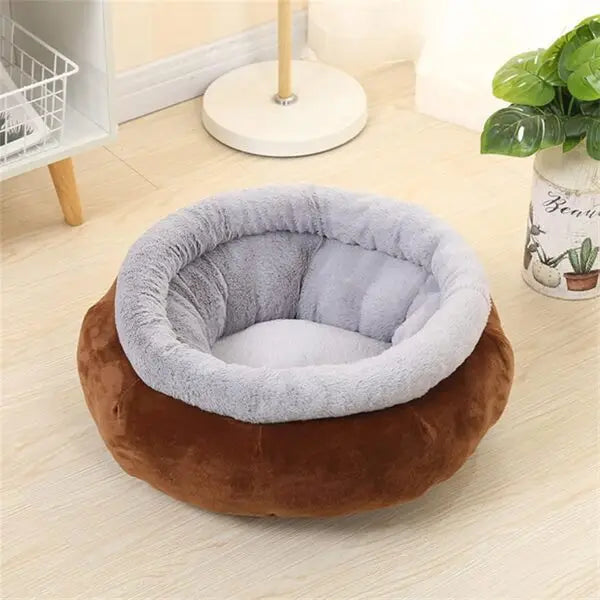 CAMA PAW