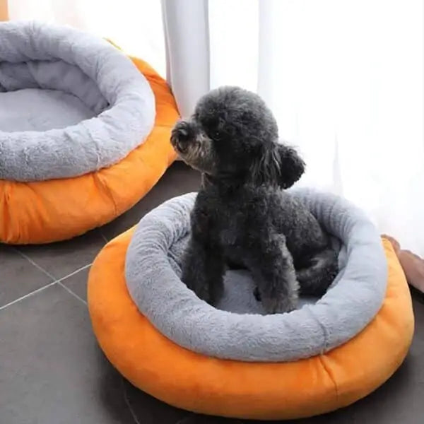 CAMA PAW