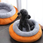 CAMA PAW