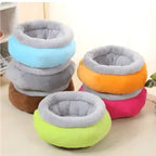 CAMA PAW
