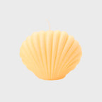 VELA CONCHA
