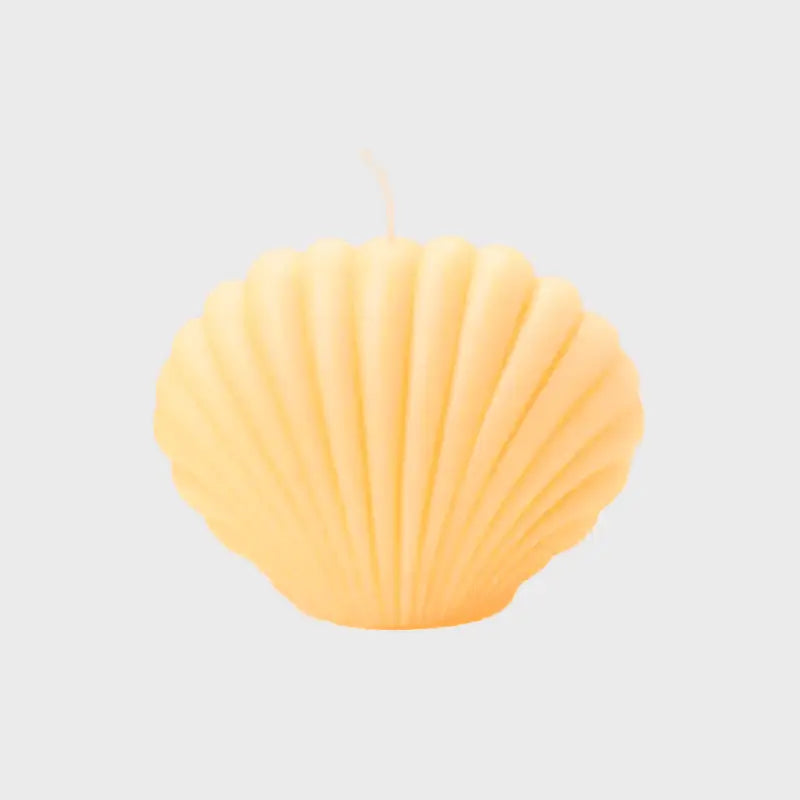 VELA CONCHA