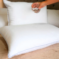 PROTECTOR DE ALMOHADA ANTIFLUIDO
